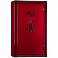 Сейф  по отпечатку пальца Rhino Metals® CD7242X BEL BUG BC
